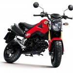 More Images of the 2013 Honda MSX125_11