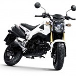 More Images of the 2013 Honda MSX125_16