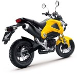 More Images of the 2013 Honda MSX125_22
