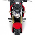More Images of the 2013 Honda MSX125_7