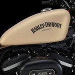 2014 Harley-Davidson Iron 883 Fuel Tank