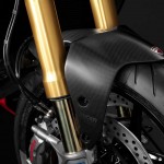 2014 Ducati Monster 1200S Front Wheel