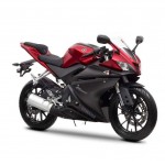 2014 Yamaha YZF-R125 Europe-Specs Anodized Red_5