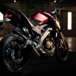 2014 Yamaha MT-125 Anodized Red_4