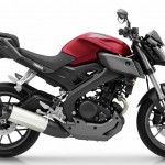 2014 Yamaha MT-125 Anodized Red_7