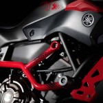 2015 Yamaha MT-07 Moto Cage Detail_1